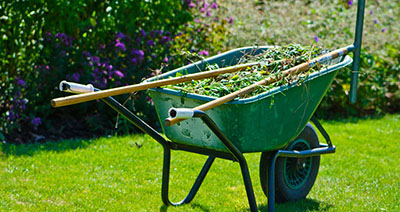 garden maintenance sydney